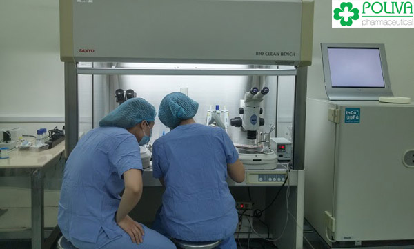 Soi tinh trùng là công việc vô cùng vất vả. Mất hàng giờ liền mà đôi khi không thu được kết quả.