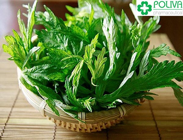 Bài thuốc dân gian chữa viêm âm đạo từ ngải cứu.