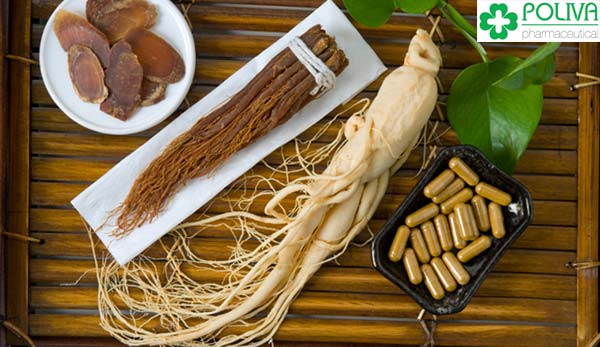 Nhân sâm - thuốc bổ ngàn xưa giúp tăng tinh trùng Y cho nam giới