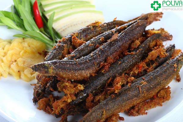Cá chạch rất tốt cho những ai bị yếu sinh lý nam.