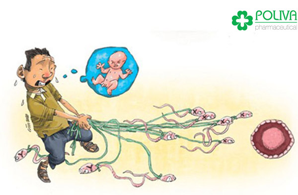 Tinh trùng loãng có ảnh hưởng tới khả năng làm cha không?