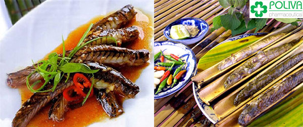 Người yếu sinh lý thường được khuyên nên ăn cá chạch.