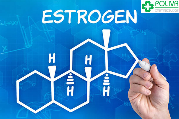 Thừa hay thiếu Estrogen cũng đều không tốt