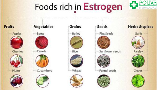 Những thực phẩm giàu Estrogen nên bổ sung vào thực đơn hàng ngày.