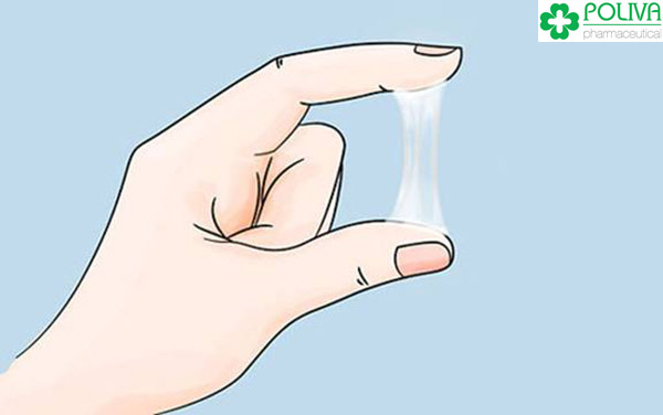Tinh dịch của phái đẹp có thể loãng cũng có thể đặc, tuy nhiên chúng không nhiều.