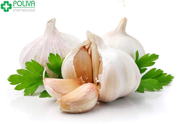 Tỏi rất giàu vitamin B6 và selen giúp giảm tình trạng phá hủy tinh trùng 12-thuc-pham-cai-thien-chat-luong-va-so-luong-tinh-trung(6)