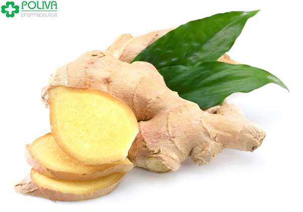 Gừng có tác dụng vô cùng hiệu quả trong việc trị khí hư, huyết trắng