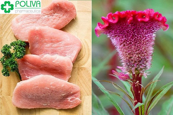 Chữa khí hư huyết trắng với hoa mào gà