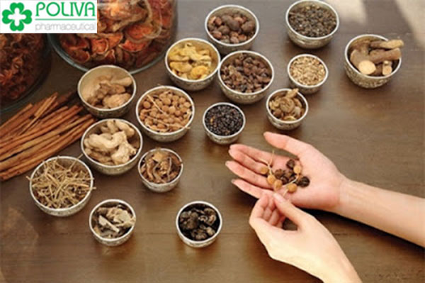 Bài thuốc đông y chữa liệt dương hiệu quả chua-liet-duong-bang-thuoc-dong-y-hieu-qua (2)