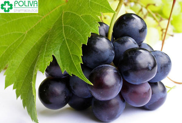 tăng cường việc tuần hoàn máu đến các bộ phận sinh dục