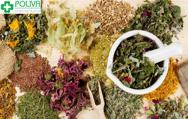 Thuốc bắc có thể gây trụy thai, hỏng thai và dị tật thai chứ không phải là cách phá thai an toàn