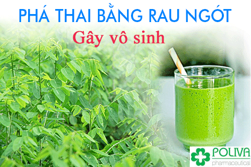 Cách phá thai bằng rau ngót có thể gây vô sinh