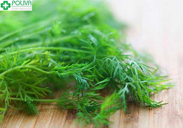 Rau thì là có tác dụng rất tốt trong việc làm giảm thiểu chứng đau bụng kinh