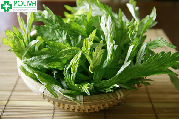 Ngải cứu rất tốt cho phái nữ