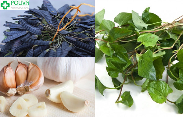 Bài thuốc Đông y chữa bệnh huyết trắng thử từ rau diếp cá, tỏi và bồ kết