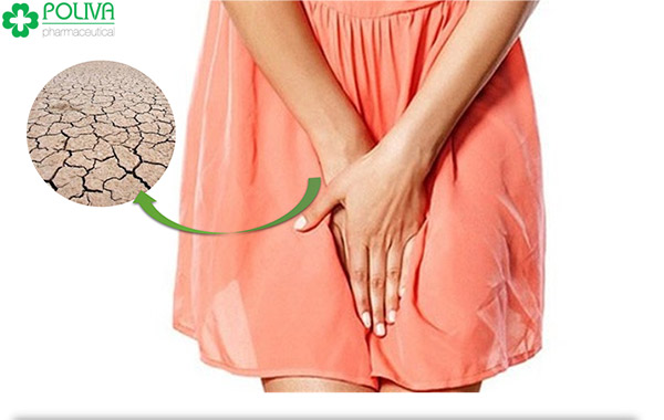 Khô âm đạo - hội chứng nhiều phụ nữ mắc phải