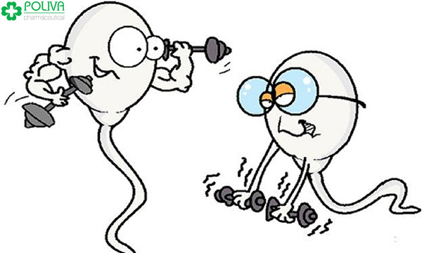 Xuất tinh nhiều lần khiến tinh trùng không kịp sản sinh hoặc có sức khỏe yếu