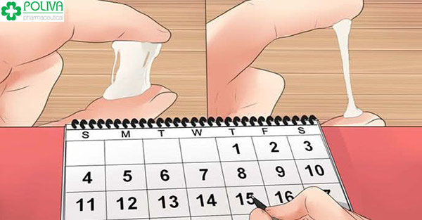 Xác định ngày rụng trứng với các biển hiện của cơ thể