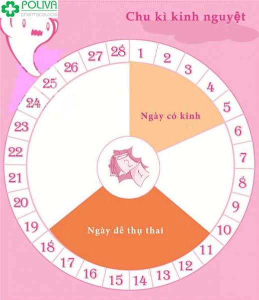 quan-he-bao-nhieu-lan-thi-co-thai-1