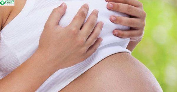 Đau ngực khi mang thai là nguy hiểm khi các mẹ bị đau nhói, các cơn đau dữ dội, đột ngột