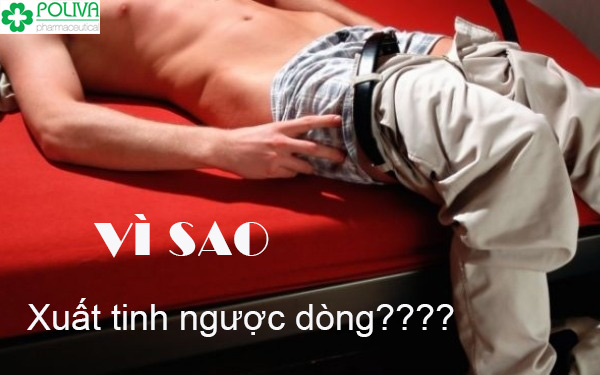 Xuất tinh ngược dòng là bệnh mà nhiều nam giới mắc phải