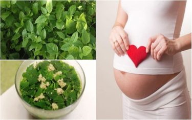 Liệu ăn rau ngót khi mang thai có bị sảy thai không?