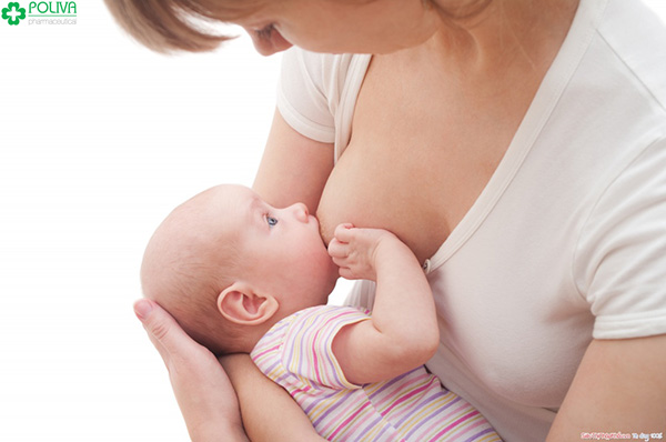 Các mẹ cho bé bú đúng tư thế bé sẽ dễ hấp thu chất dinh dưỡng hơn.