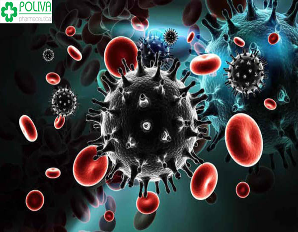 Virus HIV gây nên bệnh suy giảm hệ miễn dịch ở người