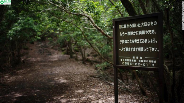 khu rừng tự sát ở Nhật Bản