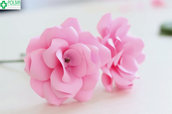 Cách làm hoa bằng giấy màu đơn giản nhưng rất đẹp