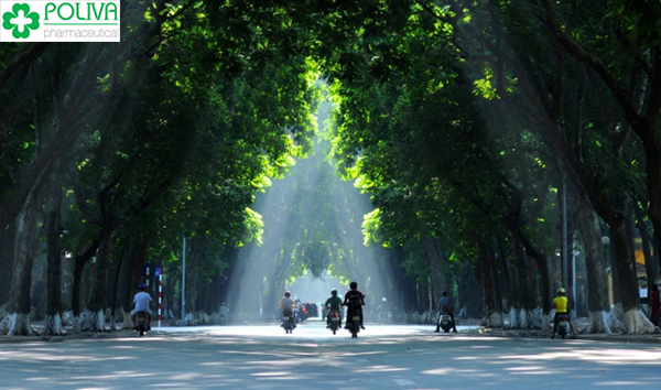 Những con đường đẹp nhất Hà Nội