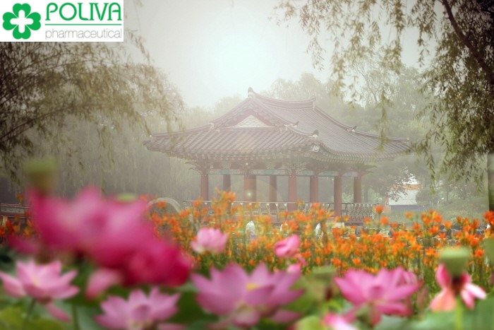 Bật mí những địa điểm du lịch Hưng Yên nổi tiếng bạn không nên bỏ lỡ