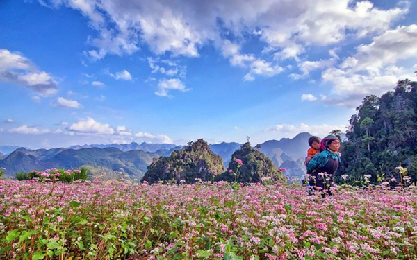Phượt Hà Giang – Khám phá vùng đất hoa tam giác mạch tươi đẹp