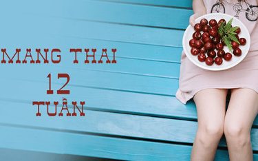 Thai 12 tuần tuổi: Độ mờ da gáy bao nhiêu? Mối quan tâm nhất của mẹ!