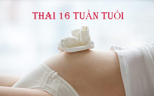 Thai 16 tuần tuổi: Mẹ sướng “rụng tim” khi cảm nhận thai máy lần đầu