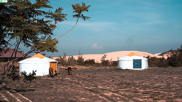 Những chiếc lều du mục ở Làng Mông Cổ