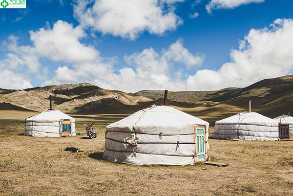 Lựa chọn Lều Mông Cổ làm nơi dừng chân nghỉ ngơi cho hành trình của mình thật thú vị bạn nhé!