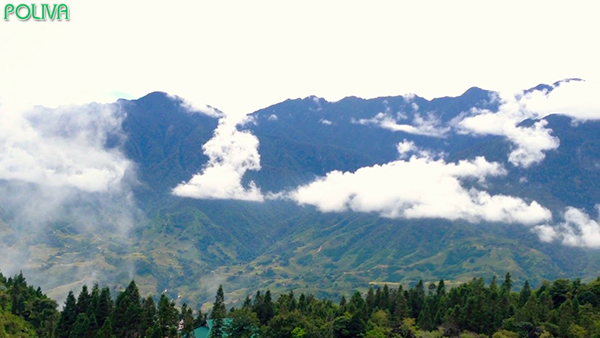 Núi Hàm Rồng là điểm dừng chân hấp dẫn của du khách khi tới SaPa.