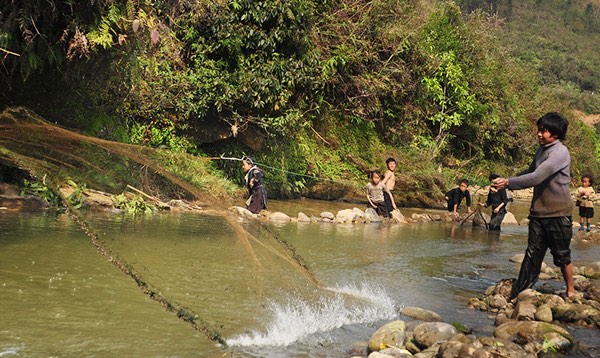 Về Sapa thưởng thức món đặc sản cá suối nướng thơm nức mũi