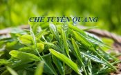 Đặc sản chè Tuyên Quang: Review cách chọn, địa chỉ mua chè chất lượng