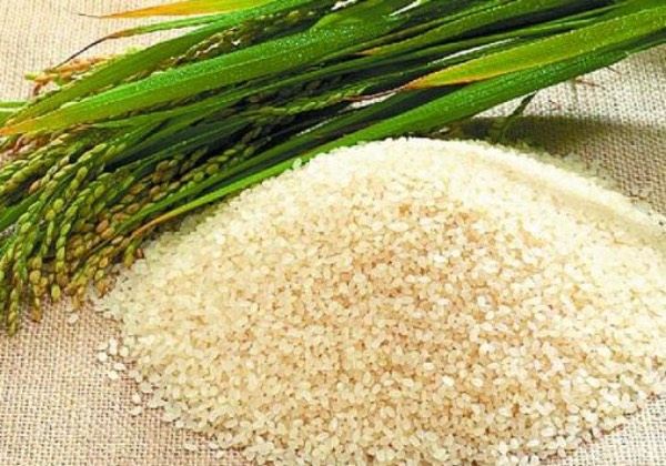 Nức danh hương vị trứ danh của hạt gạo Điện Biên