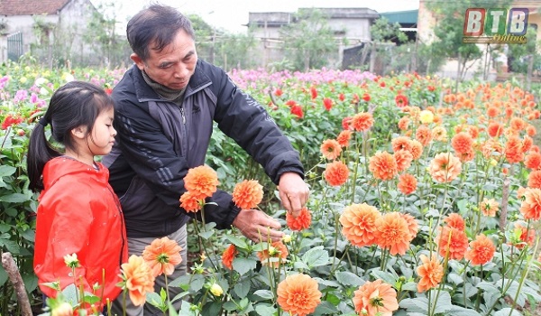 Vườn hoa Bách Thuận