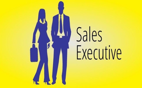 Sales executive là gì? Khám phá công việc của Sales excecutive