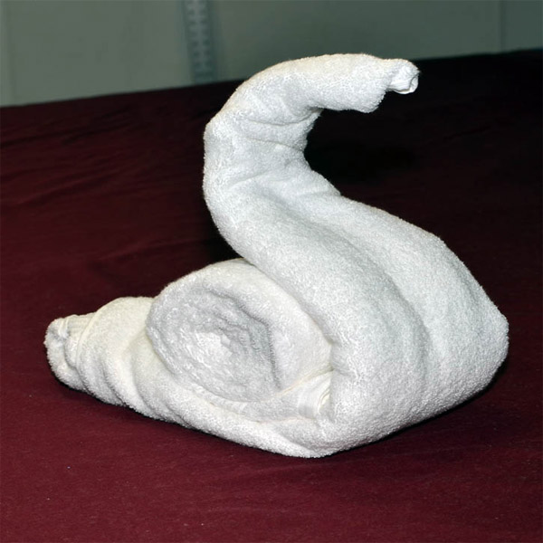 Cách gấp khăn tắm