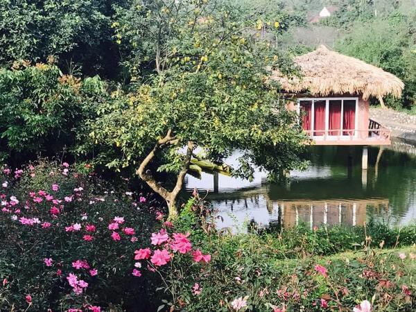 Lai Farm homestay thơ mộng với cỏ cây, hoa lá thiên nhiên