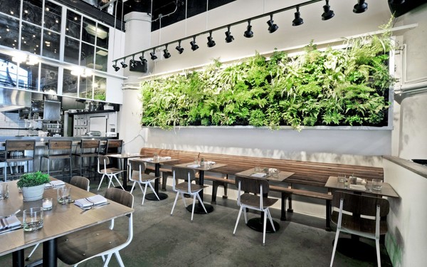 Thiết kế nhà hàng với hàng cây xanh tạo không khí trong lành