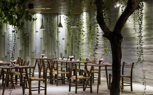 Không gian nhà hàng trở nên thu vị với thiết kế xanh
