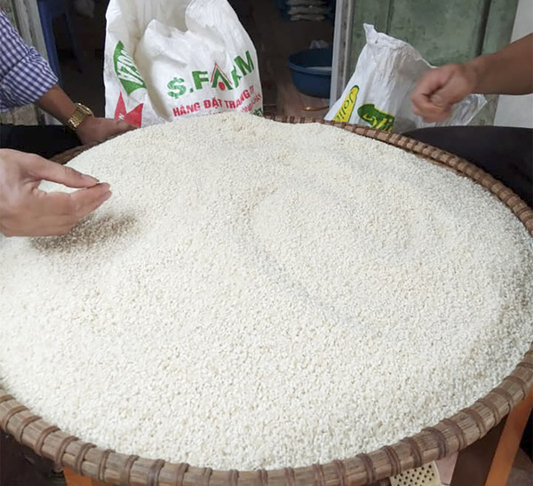 Những hạt gạo nếp gà gáy - hạt ngọc thiên nhiên ban tặng cho xứ Mường Yên Lập
