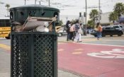 Bố trí khoảng cách đặt thùng rác công cộng ra sao cho phù hợp?
