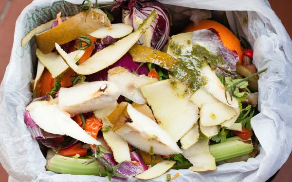 Tận dụng nguồn rác thải làm phân bón